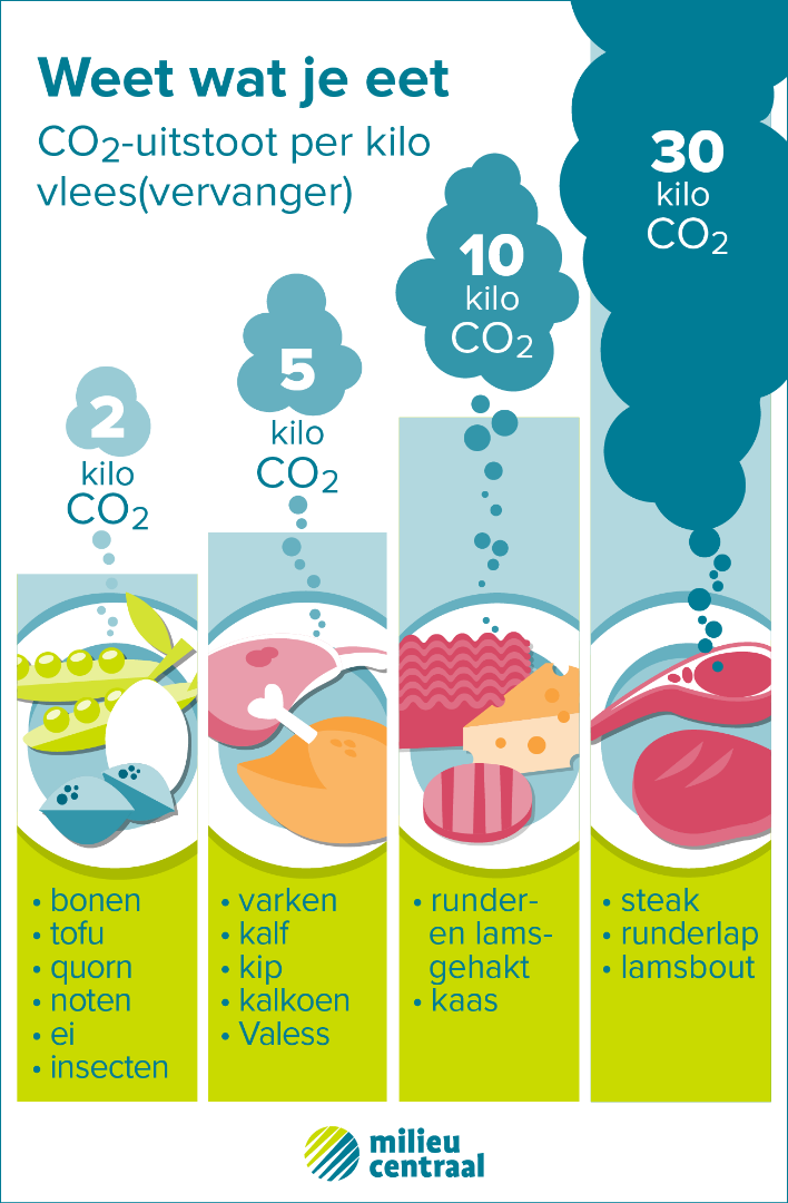 Planet: CO2 impact